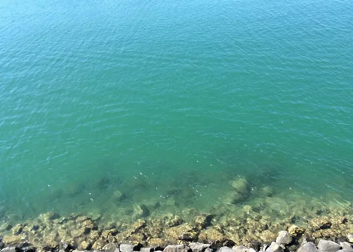 - Ile Des Pecheurs *